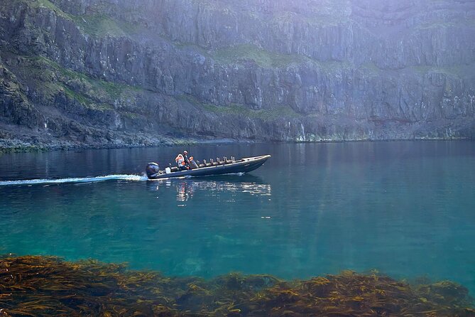 1 Hour Iceland Nature and Wildlife RIB Small Group Guided Safari - Key highlights you’ll care about