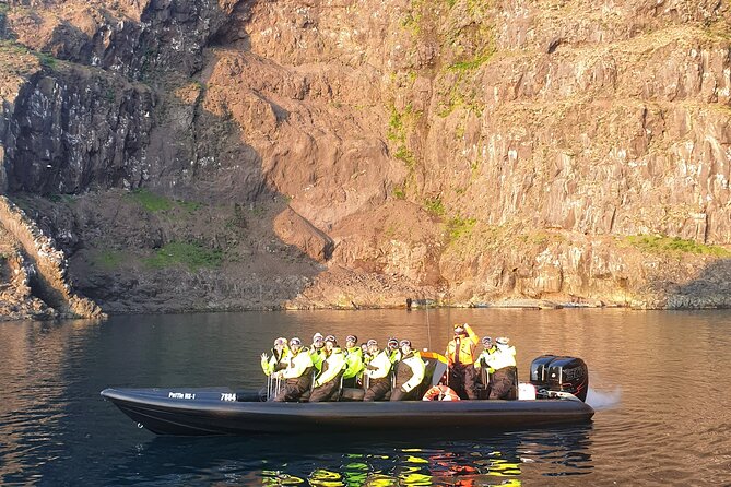 1 Hour Iceland Nature and Wildlife RIB Small Group Guided Safari - East Iceland by RIB: fast, wild, and built for wildlife