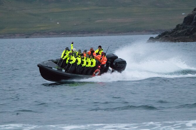 1 Hour Iceland Nature and Wildlife RIB Small Group Guided Safari - The coastal ride to cliffs: why the RIB access changes everything