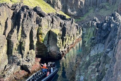 1 Hour Iceland Nature and Wildlife RIB Small Group Guided Safari