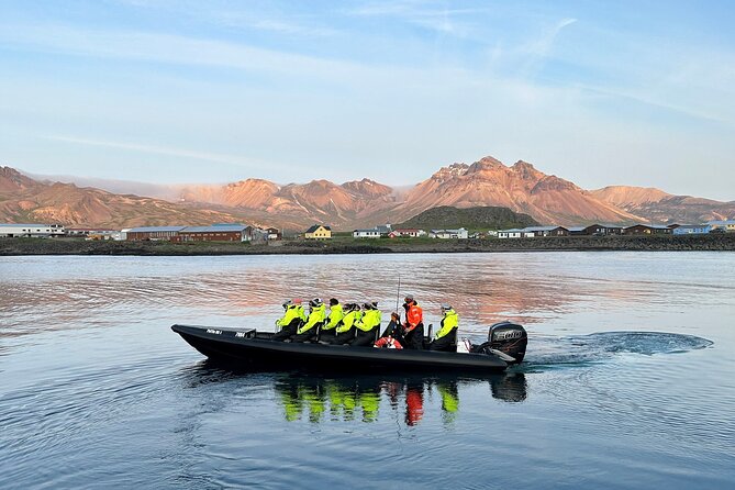 1 Hour Iceland Nature and Wildlife RIB Small Group Guided Safari - Whale watching: when it happens, it’s not subtle