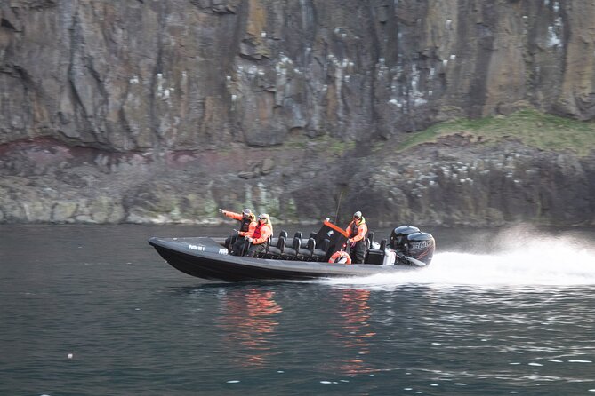 1 Hour Iceland Nature and Wildlife RIB Small Group Guided Safari - Guides, humor, and why small groups make the difference