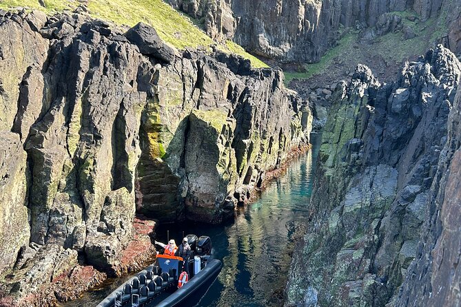 1 Hour Iceland Nature and Wildlife RIB Small Group Guided Safari - Puffins and seabirds: what to watch for and how to spot them