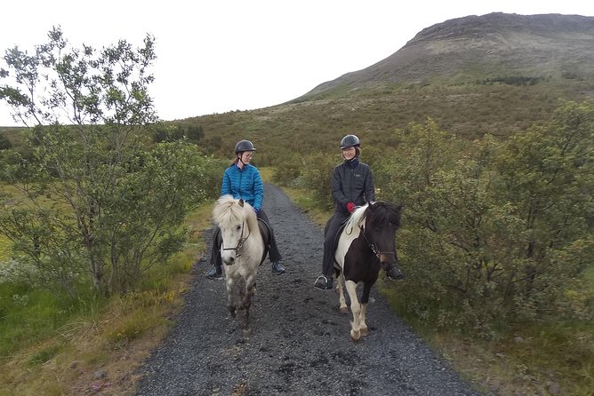 1+ hour Private Horse riding tour from Reykjavík/Mosfellsbær - Key Highlights You Will Care About