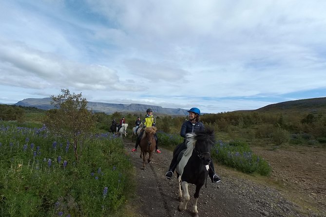 1+ hour Private Horse riding tour from Reykjavík/Mosfellsbær - Entering the Stable: The Lesson Starts Before You Ride