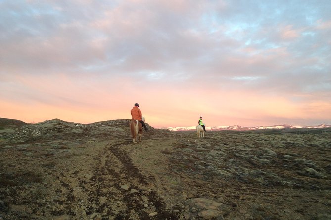 1+ hour Private Horse riding tour from Reykjavík/Mosfellsbær - Timing, Transportation, and Getting to the Meeting Point