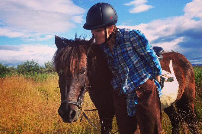 1+ hour Private Horse riding tour from Reykjavík/Mosfellsbær - Riding Mt. Úlfarsfell: Gaits, Terrain, and What You Might Feel