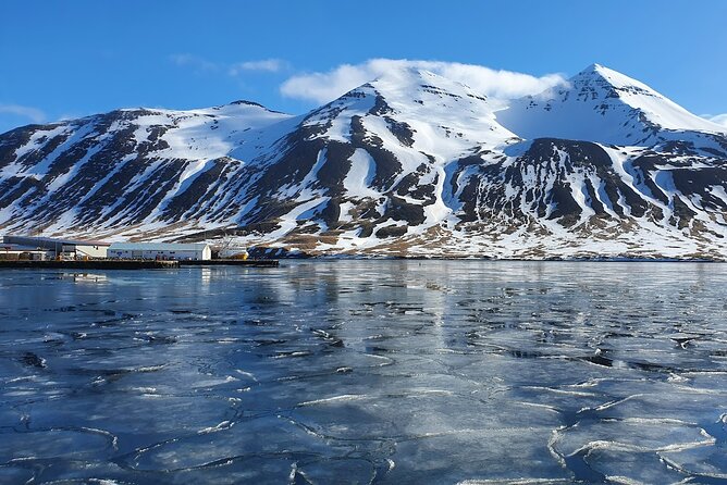1-Hour Siglufjörður Stroll - Why This 1-Hour Siglufjörður Walk Fits Real Travel Schedules