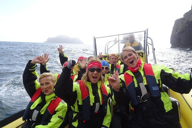 1-Hour Small Group Sightseeing Boat Tour in Vestmannaeyjar - Key highlights worth booking for