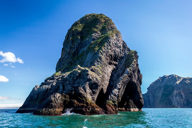 1-Hour Small Group Sightseeing Boat Tour in Vestmannaeyjar - Choosing your departure time, and why flexibility helps