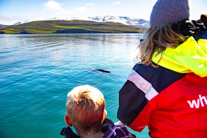 100% Whale Watching - Key Points You Should Know Before You Go