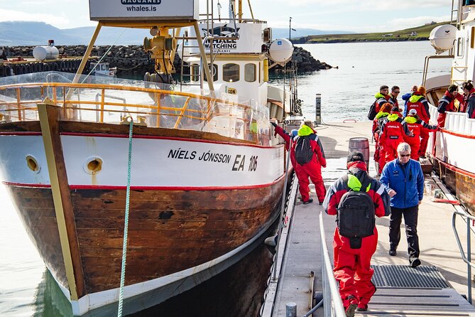 100% Whale Watching - Warm Coveralls, Live Commentary, and the Snacks That Make Cold Weather Bearable