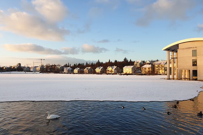2-Hour Reykjavik Private Walking Tour - Stop 1: Harpa Concert Hall, Ólafur Elíasson’s architecture, and photo time