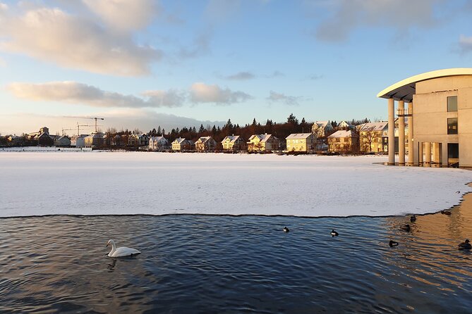 2-Hour Reykjavik Private Walking Tour - Stop 2 option: Hallgrímskirkja and the viewpoint decision