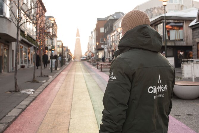 2-Hour Reykjavik Private Walking Tour - Pickup from your own start point: saving time in downtown Reykjavik