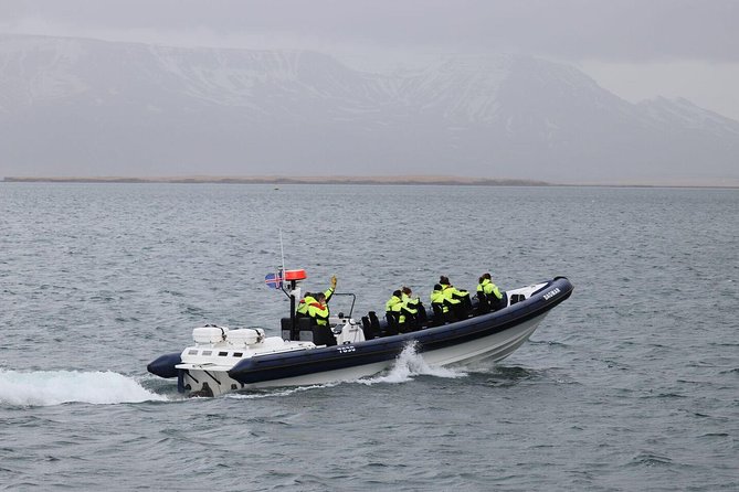 2-Hour RIB Boat Whale Watching Tour from Reykjavik - Key things I’d lock in before you go