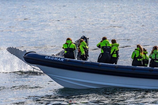 2-Hour RIB Boat Whale Watching Tour from Reykjavik - What you’re really buying with a whale tour: expertise and repeat options