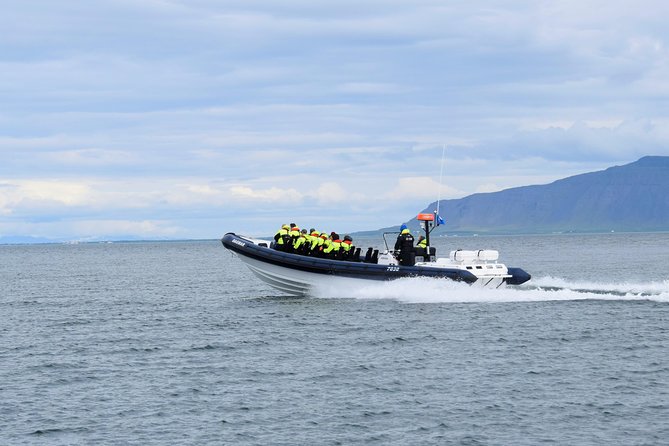 2-Hour RIB Boat Whale Watching Tour from Reykjavik - The summer Akurey puffin stop, and why it’s worth the timing