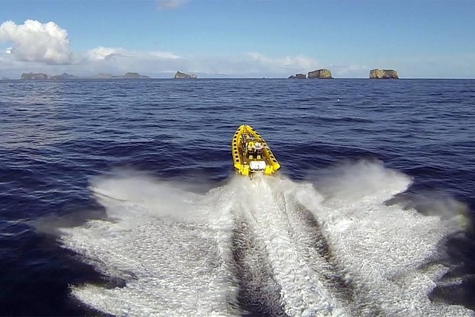 2 hour Round Trip in Vestmannaeyjar on a RIB Boat - Key highlights you should care about