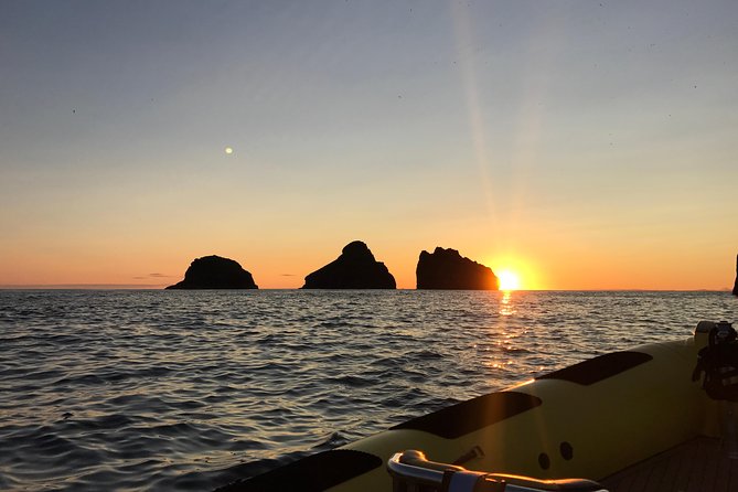 2 hour Round Trip in Vestmannaeyjar on a RIB Boat - Why a RIB Boat Makes Vestmannaeyjar Feel Up Close