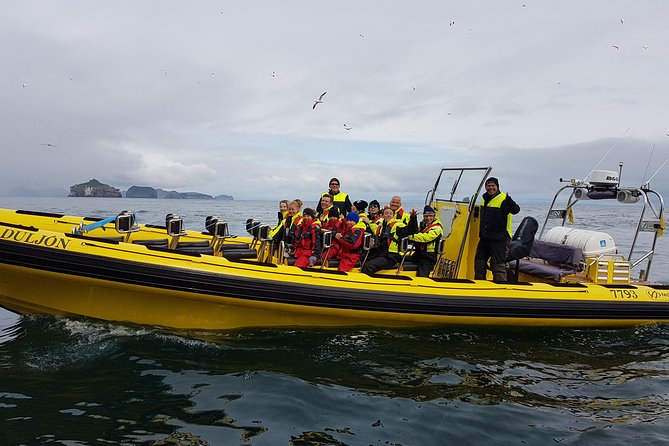 2 hour Round Trip in Vestmannaeyjar on a RIB Boat - Wildlife Odds: Puffins First, Then Maybe Whales and Seals