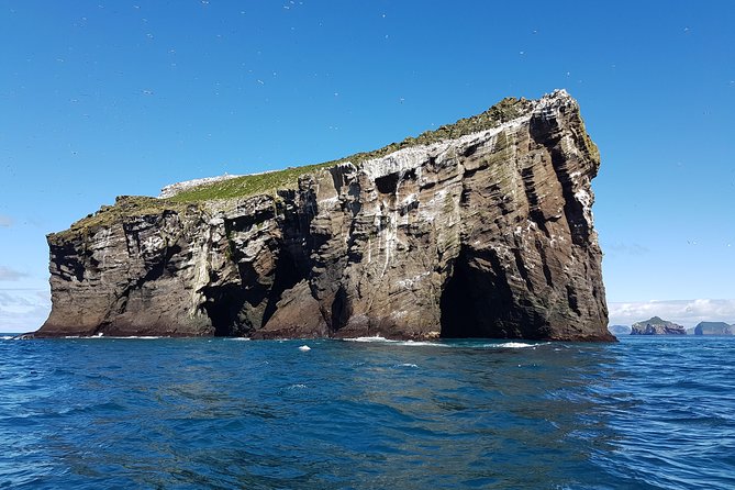 2 hour Round Trip in Vestmannaeyjar on a RIB Boat - Comfort, Safety, and the Realities of Windy Iceland