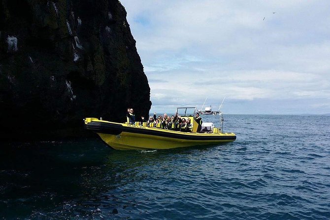 2 hour Round Trip in Vestmannaeyjar on a RIB Boat - Should You Book This Vestmannaeyjar RIB Safari?