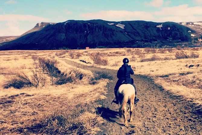 2 hours Private Horse Riding to Lake Hafravatn, Reykjavík - Mos - Key points before you book