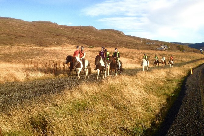 2 hours Private Horse Riding to Lake Hafravatn, Reykjavík - Mos - Beginner-friendly, but not casual: what your body needs to handle