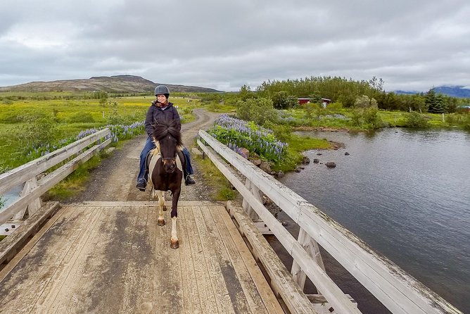 2 hours Private Horse Riding to Lake Hafravatn, Reykjavík - Mos - Who this tour is best for, and who should skip it