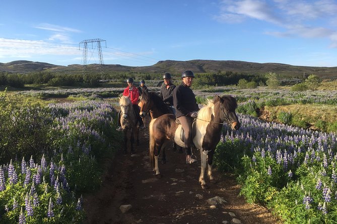 2 hours Private Horse Riding to Lake Hafravatn, Reykjavík - Mos - Getting to Akrar 1, Mosfellsbær, and making sense of the 3-hour window