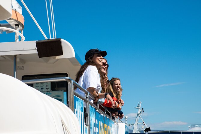 2 Hours Whale Watching Express Adventure - Weather and timing: the practical way to avoid a frustrating day