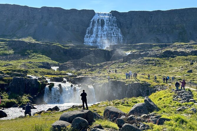 3,5-Hour Sightseeing Tour To Dynjandi Waterfall - Walking the Falls Safely in Rain, Mud, and Spray