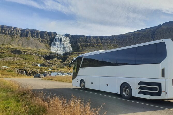 3,5-Hour Sightseeing Tour To Dynjandi Waterfall - Price and Value: Is $84.65 Worth It?