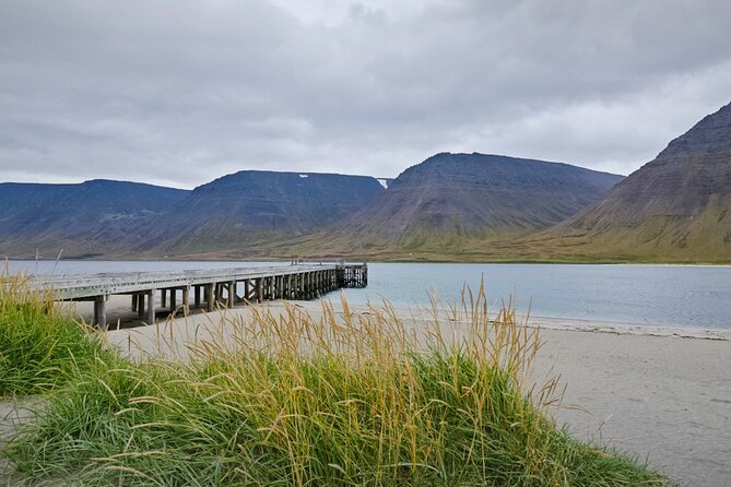 3-Day Wild and Wonderful Tour of Westfjords - Small Group Tour - Day 1: Borgarnes to Látrabjarg’s bird cliffs