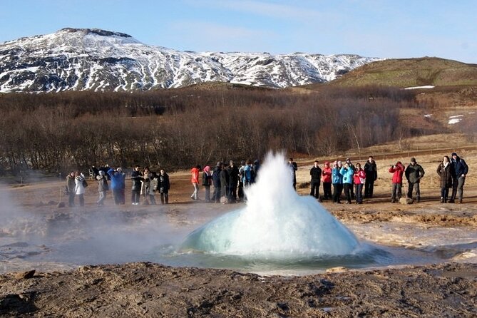 5-Days Land of Northern Lights Tour from Reykjavík - Day 4 Golden Circle style: horses, geysers, Gullfoss, and Þingvellir