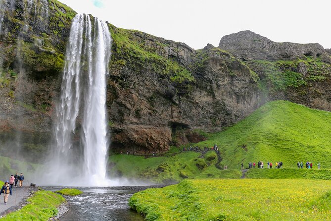 6 Day Iceland Ring Road Highlights Tour With Accommodation - Day 5: Akureyri whale watching (Deluxe) and the troll rock of Hvítserkur