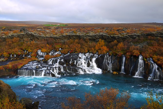 7-Day Complete Iceland: South Coast, Golden Circle, Akureyri & Snaefellsnes - Akureyri day with Dalvik whale watching and Siglufjörður town time