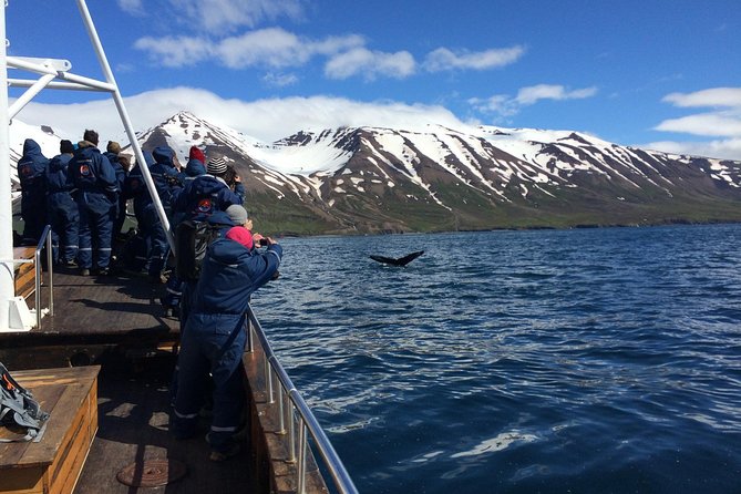 7-Day Complete Iceland: South Coast, Golden Circle, Akureyri & Snaefellsnes - Borgarfjörður, waterfalls, and Reykholt: where the sagas meet hot water