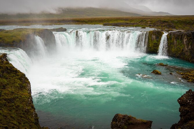 7-Day Small Group Journey Around Iceland - Day 4: Eastfjords drive to Höfn, foggy realism and wild reindeer