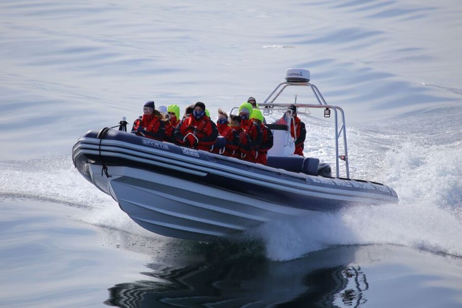 Akureyri: 2-Hour Whale Watching Express by RIB Speedboat - Guide Quality Is Part of the Ticket Value