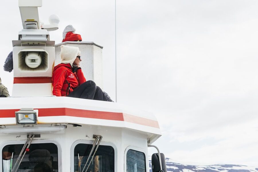 Akureyri: 3-Hour Classic Whale Watching Tour by Ship - Timing, views, and the best place to stand