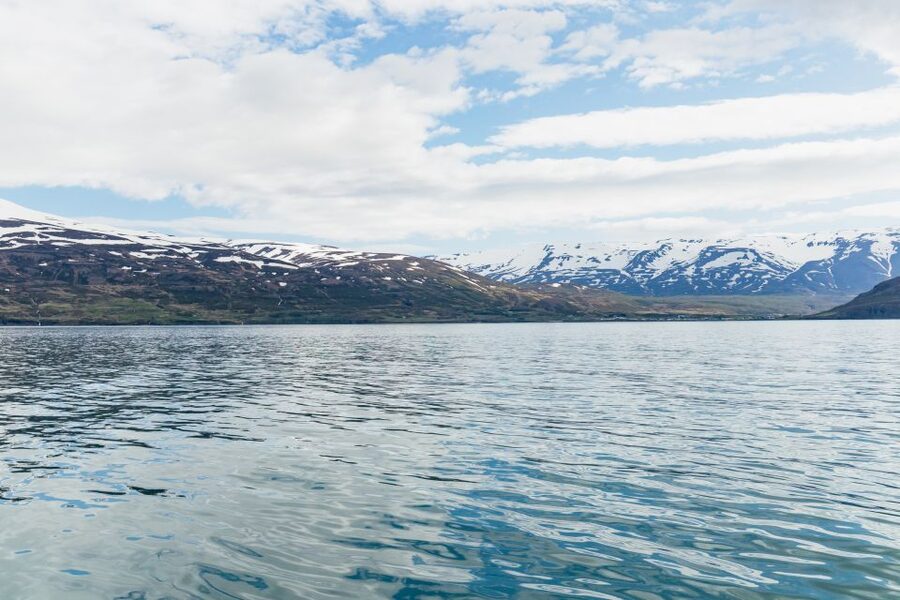 Akureyri: 3-Hour Classic Whale Watching Tour by Ship - How the whale hunt actually works on the water