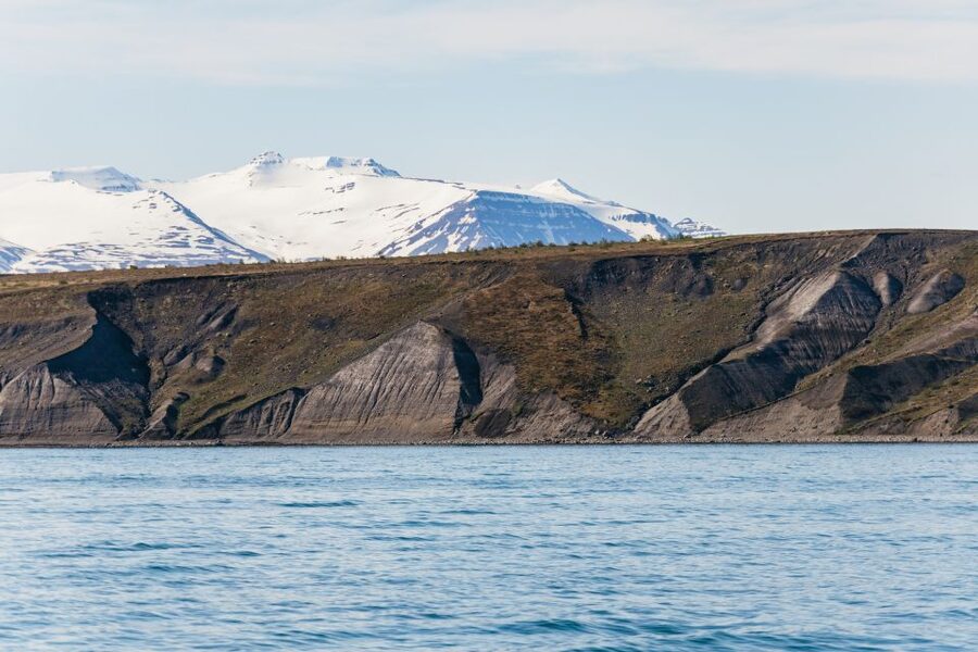 Akureyri: 3-Hour Classic Whale Watching Tour by Ship - What you’ll do while waiting for the first whale