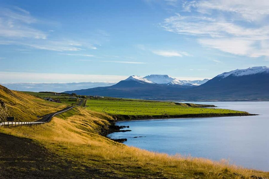 Akureyri: Dettifoss and Goðafoss Waterfalls Tour - Price check: what you get for $152 and why it can be worth it
