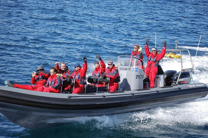 Akureyri Express Whale Watching by RIB boat - Price and value: is $180 worth it for a 2-hour express trip?