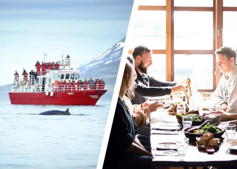 Akureyri: Food Walk and Whale Watching Tour - Meeting Up at HOF, Then Two Routes in Different Worlds