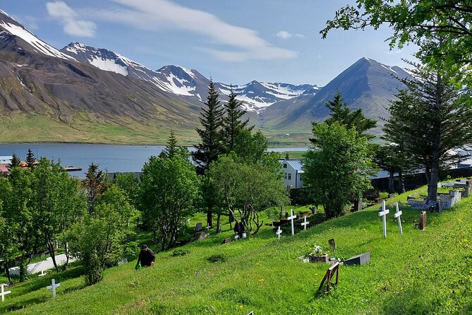 Akureyri Siglufjörður Half Day Tour to the Arctic Coastline - Key Things I’d Book This Tour For