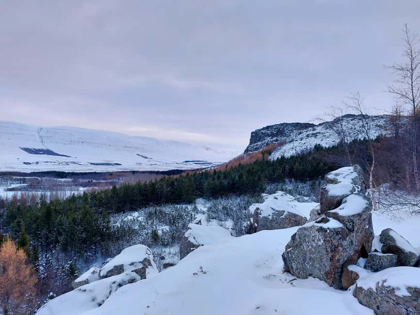 Akureyri: Snowshoeing with The Traveling Viking - Why Snowshoeing Near Akureyri Feels Different in Winter