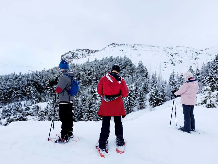 Akureyri: Snowshoeing with The Traveling Viking - Tips for Getting Great Photos on a Snowshoe Walk